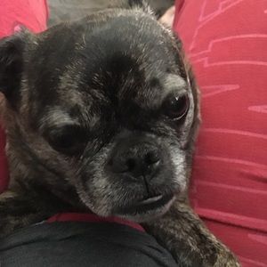 Meet your Posher, Lana